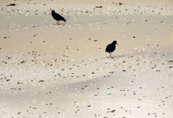 Oyster Catcher3 JHolden