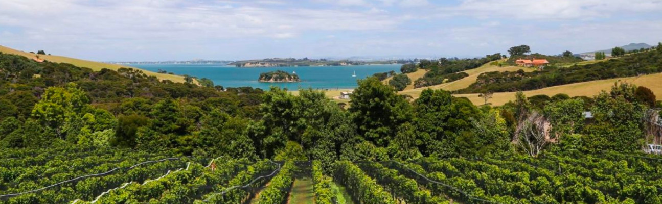 Waihekeartawardinvite 20232 Copy 2