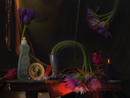 FP Waterlilies Dragon Fruit and Sphynx Ripiro 2014