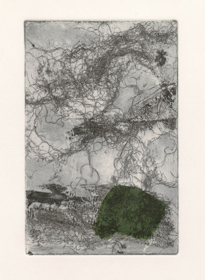 Faye Norman Green Splash 2025 v2