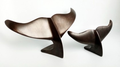 Jay Lloyd Whale Tails 2