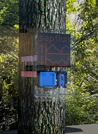 Simon Ingram sapflux