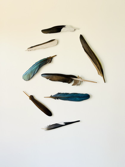 claire jensen the sky above mid view slight angle waiheke small sculpture prize entry 2026
