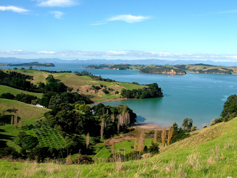 Waiheke 1